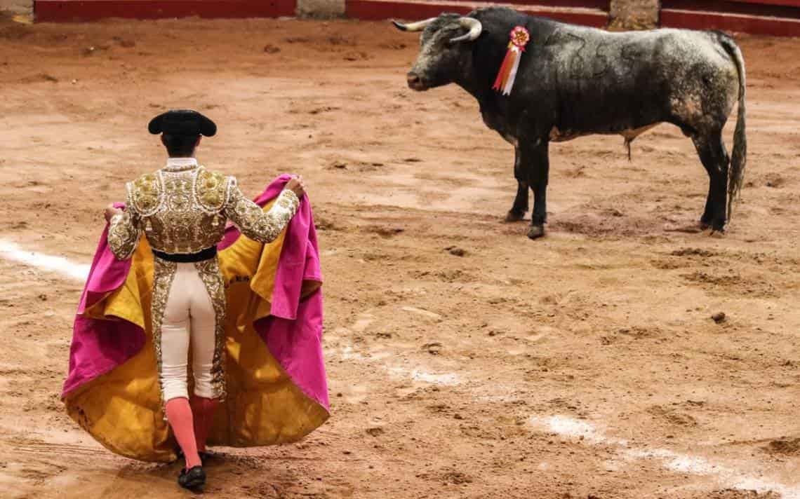 Jefa de Gobierno propone consulta para discutir corridas de toros en la CDMX