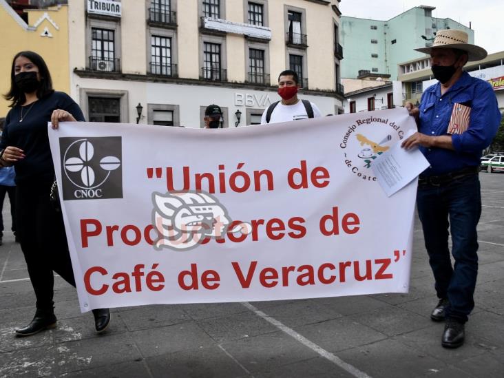 Cafeticultores veracruzanos, 40 años exigiendo precios justos