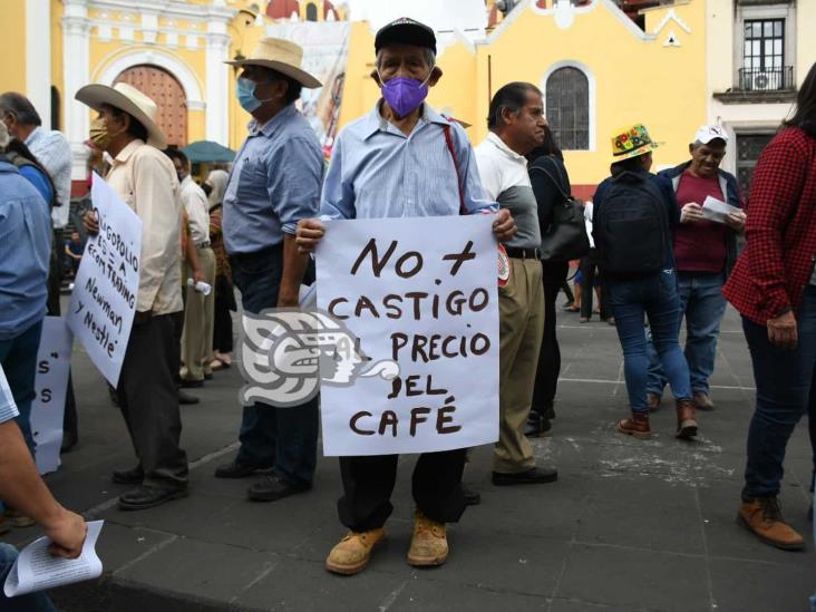 Cafeticultores veracruzanos, 40 años exigiendo precios justos