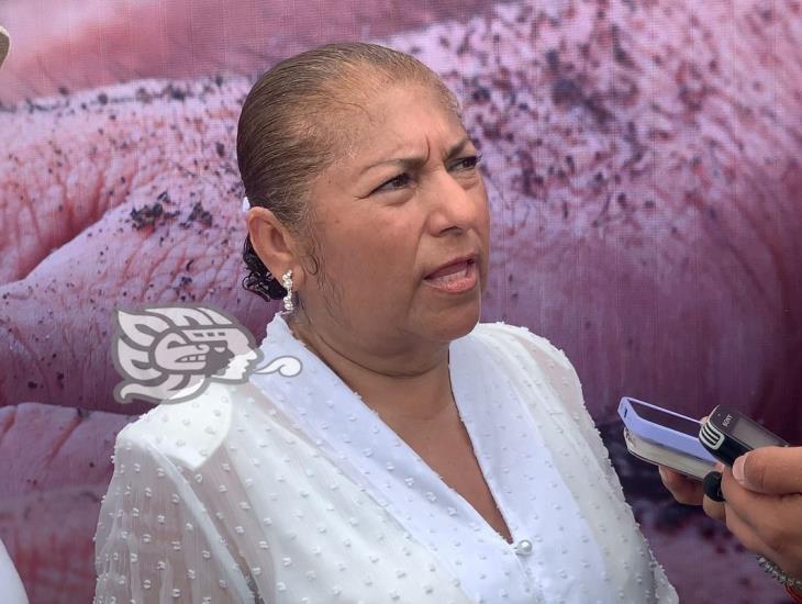 DIF-Coatzacoalcos pide denunciar casos de explotación infantil