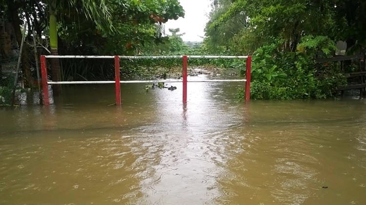 En temporada de lluvias y huracanes, conoce qué hacer en caso de emergencia