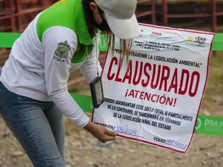 En colonias de Misantla, vuelven olores fétidos provocados por establo