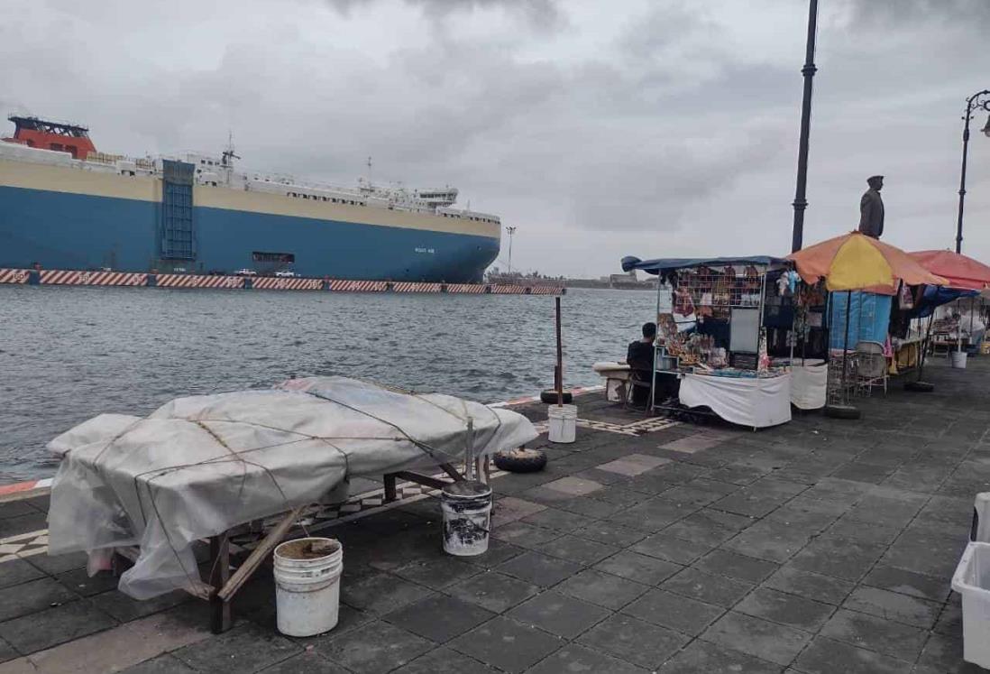 Artesanos en Veracruz denuncian robo de luz por ambulantes en la Macroplaza