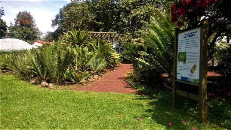 Jardín botánico Francisco Javier Clavijero, museo al aire libre