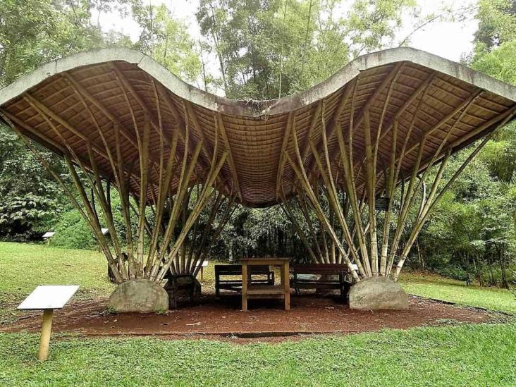 Jardín botánico Francisco Javier Clavijero, museo al aire libre