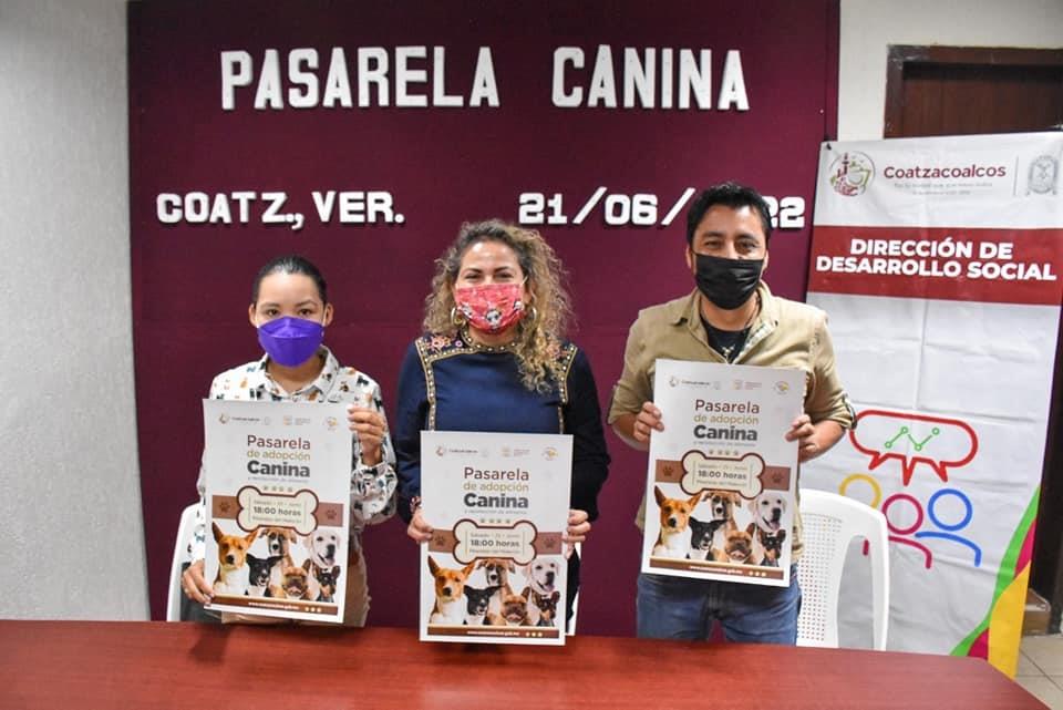 Promueve Gobierno la adopción responsable de caninos 