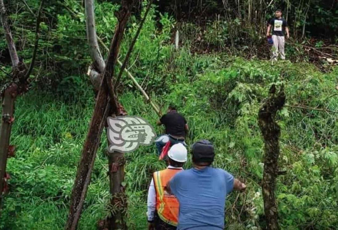 Desraman árboles para prevenir cortos circuitos en Ixhuatlán