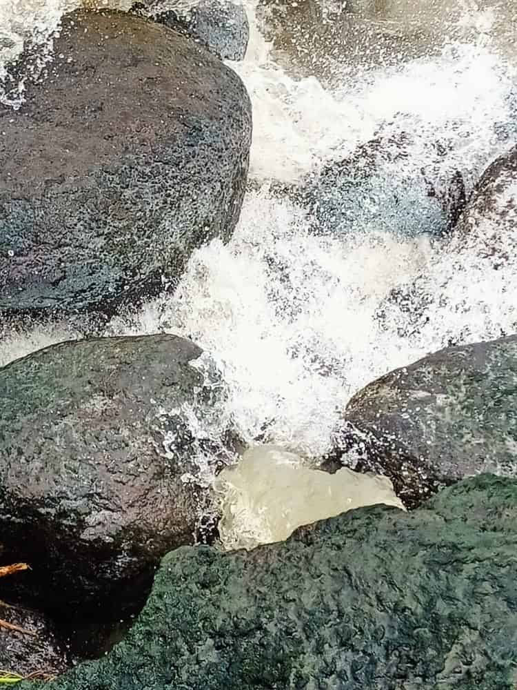 Aguas negras de la zona Veracruz-Boca del Río van directo al mar