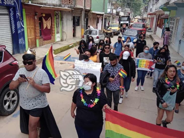 Este domingo, se realizó la primera Marcha por la Igualdad en Zongolica