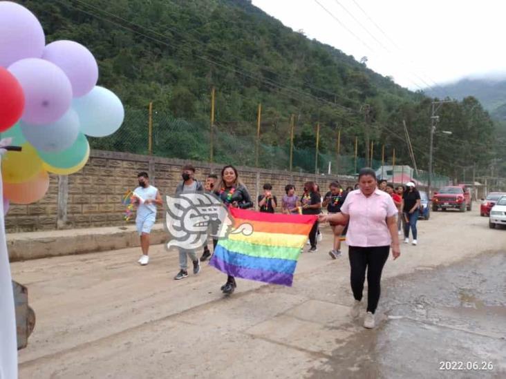 Este domingo, se realizó la primera Marcha por la Igualdad en Zongolica