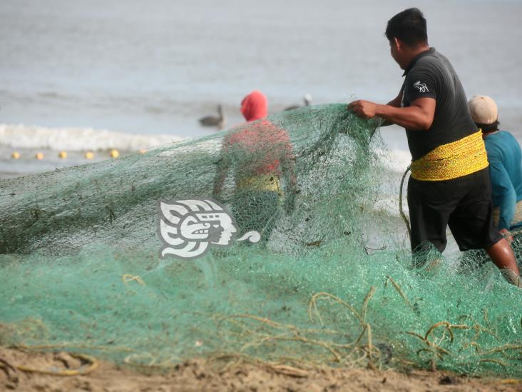 Atrás quedaron los tiempos de abundancia pesquera en Coatzacoalcos