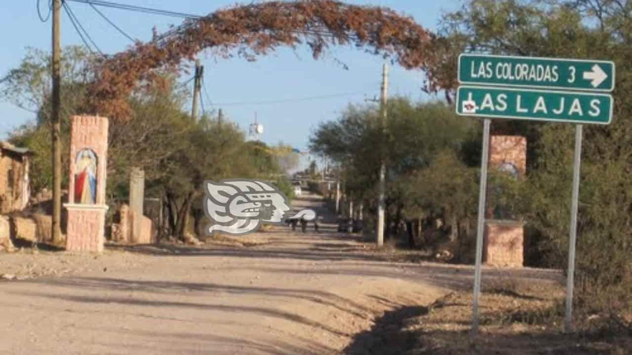 Hallan seis cuerpos en grieta convertida en fosa clandestina en Zacatecas