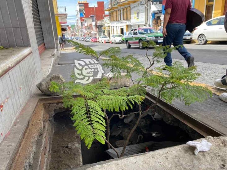 Bacheo en lugar de grandes obras; Xalapa vive un abandono infame: Ahued