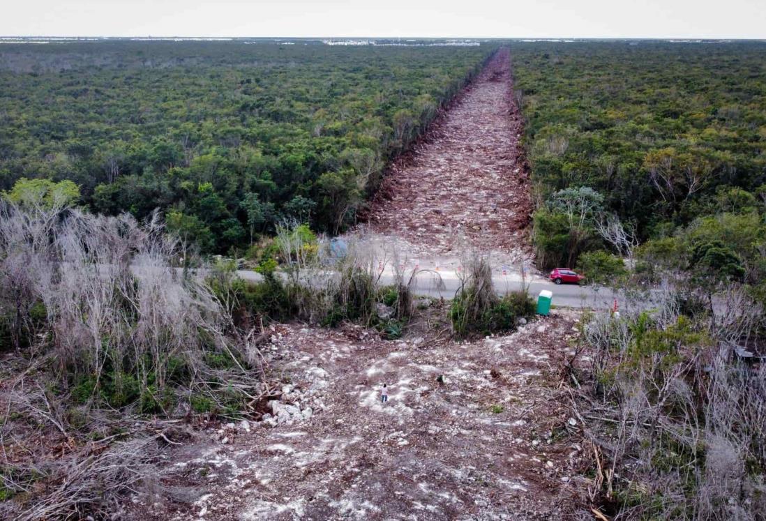 Semarnat autoriza MIA del Tramo 5 Sur del Tren Maya