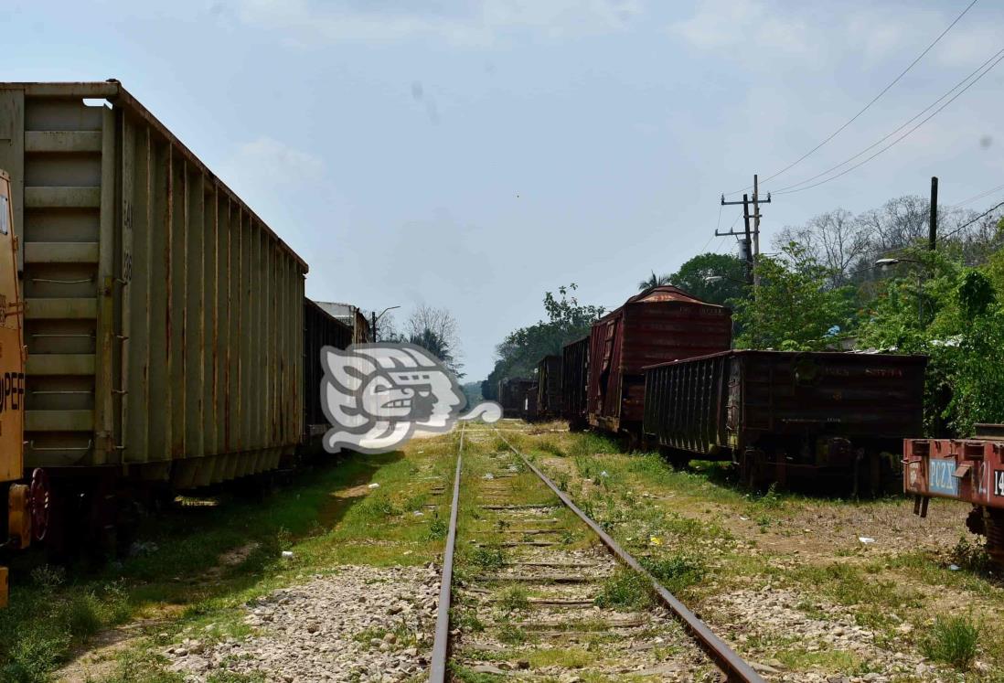 Se elevaría movimiento de carga con conexión férrea en el sureste