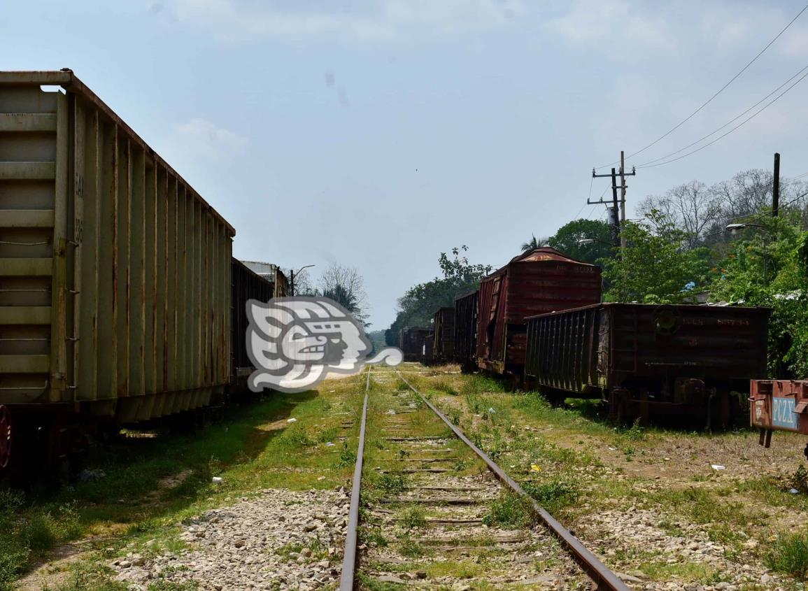 Se elevaría movimiento de carga con conexión férrea en el sureste