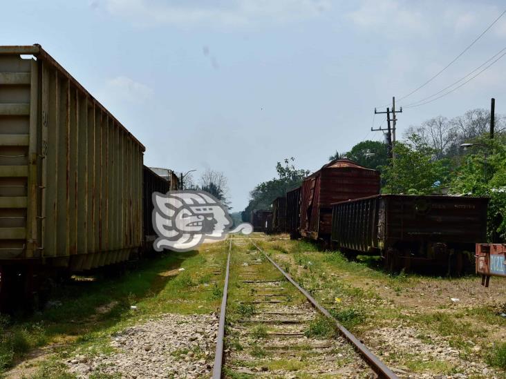 Se elevaría movimiento de carga con conexión férrea en el sureste