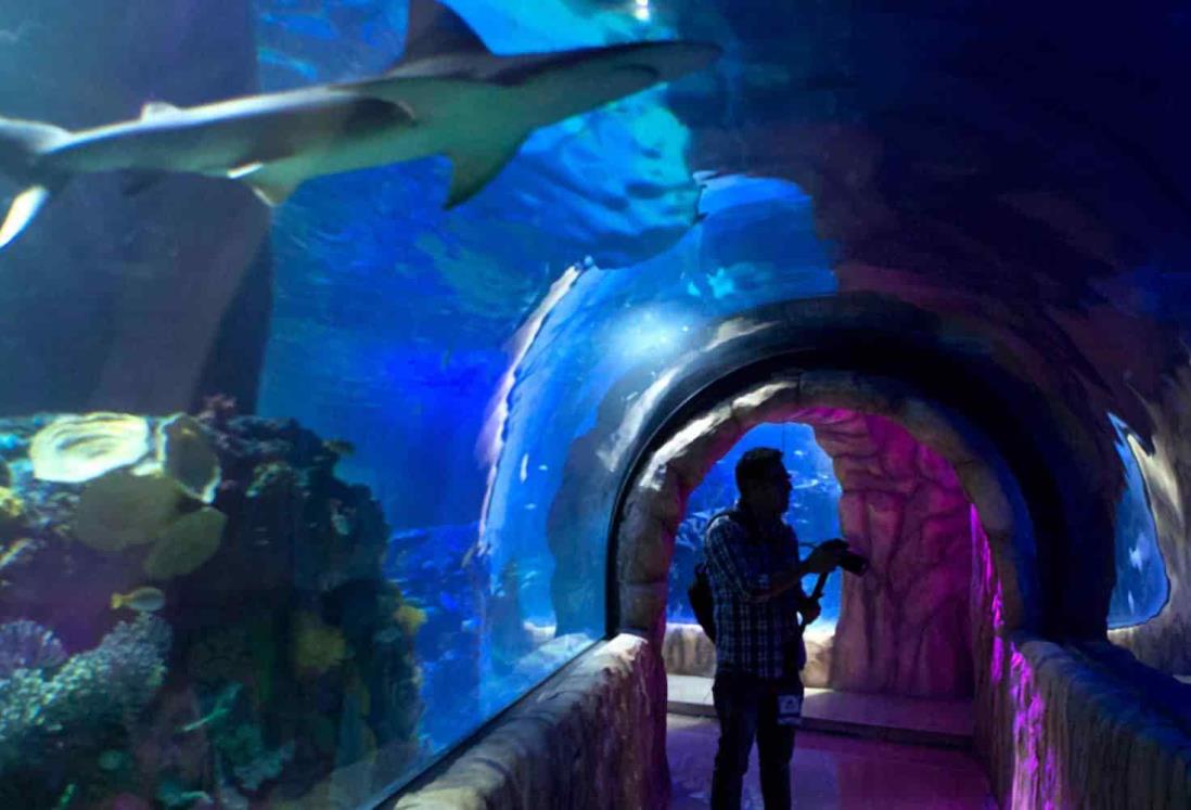 Prevén aumento de visitantes a Plaza Acuario por vacaciones de verano