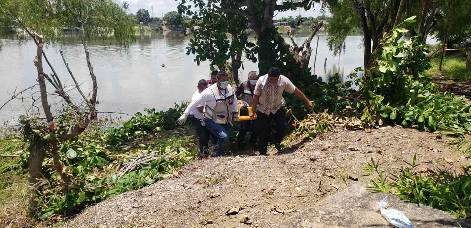 Cae hombre de más de 5 metros de altura mientras derramaba un árbol en Cosamaloapan