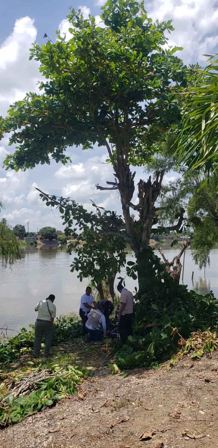 Cae hombre de más de 5 metros de altura mientras derramaba un árbol en Cosamaloapan