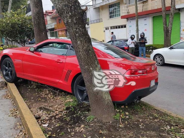 Auto choca contra un árbol en la avenida Américas, en Xalapa.