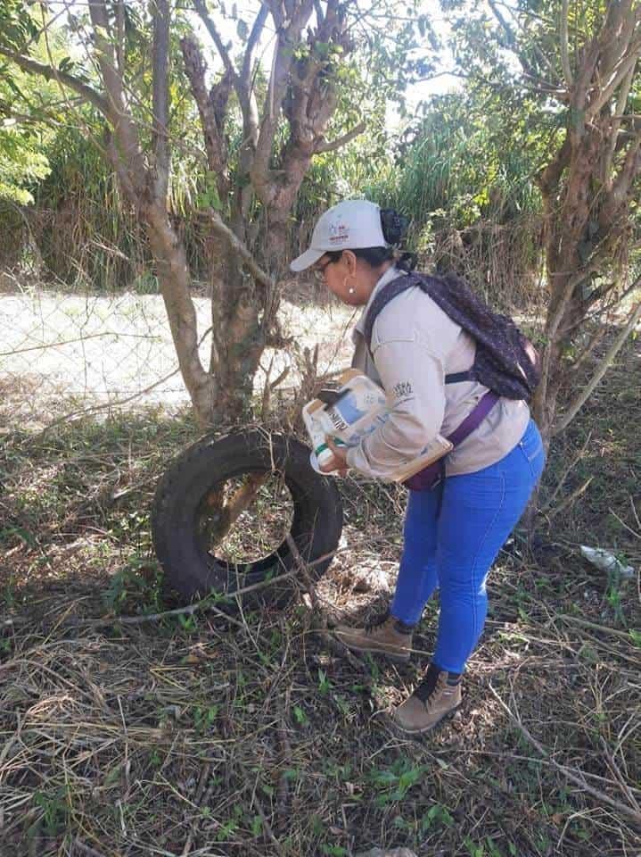 Llaman vectores en Misantla a tomar medidas preventivas contra la Leishmaniosis