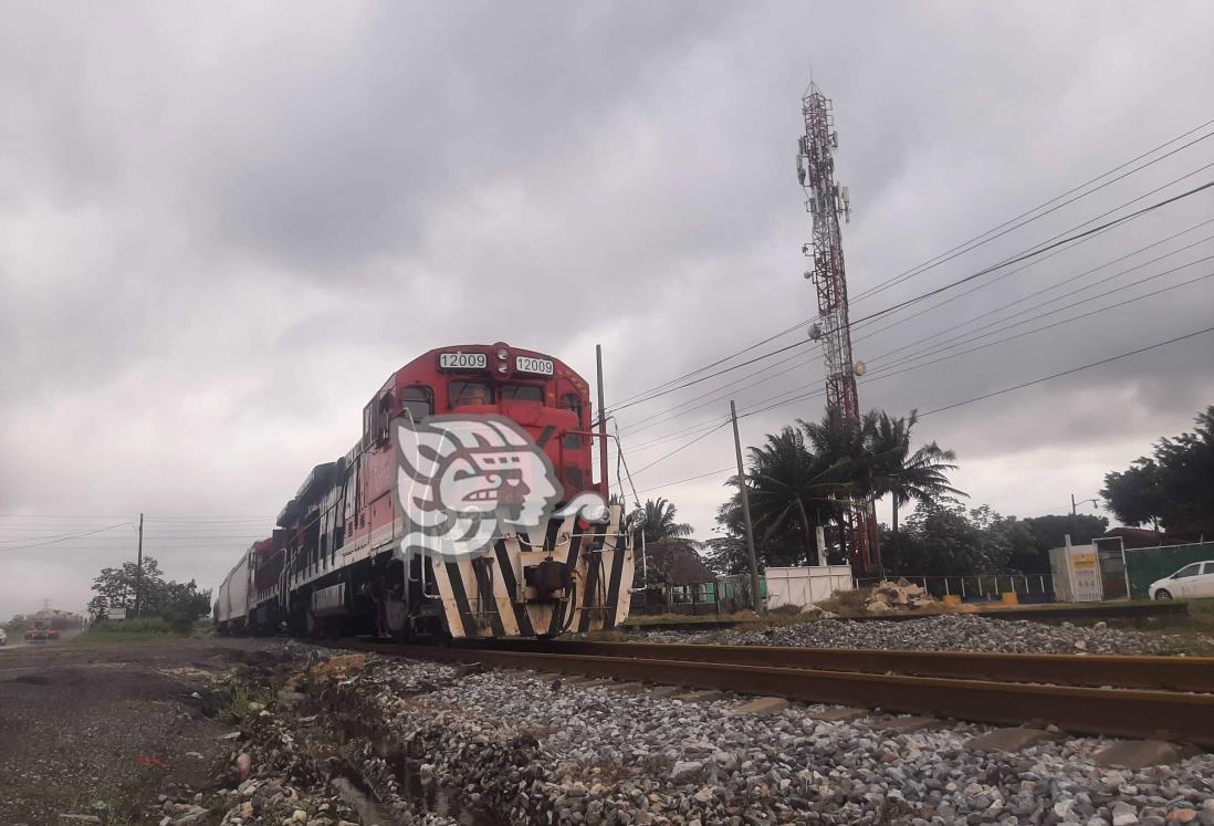 Buscan adquirir madera para el Ferrocarril del Istmo de Tehuantepec