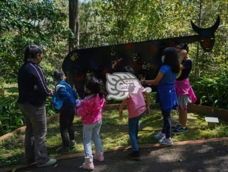 En México, realizan consulta para escuchar opinión de niños, niñas y adolescentes