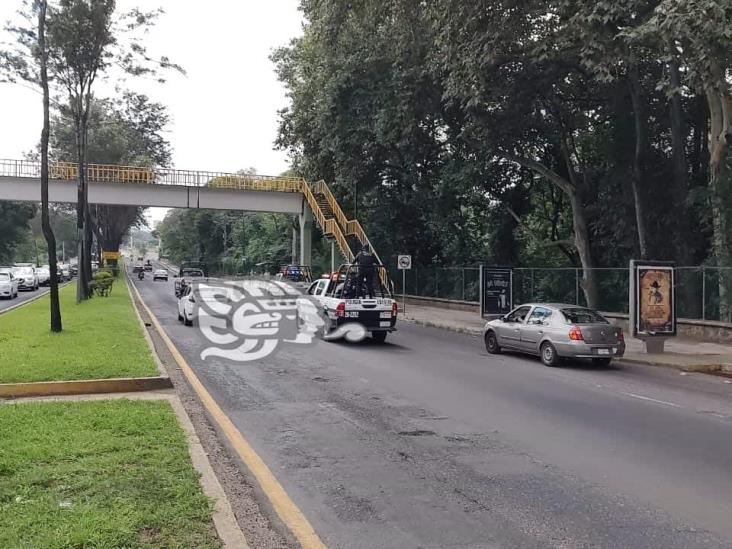 Reportan movilización policiaca en Xalapa tras captura de asaltantes: hay un herido