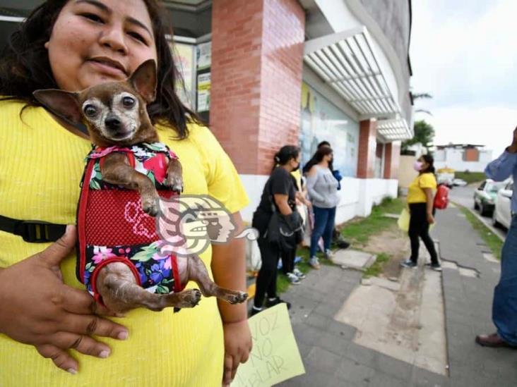 Con protesta y colecta, exigen frenar envenenamiento de mascotas, en Emiliano Zapata