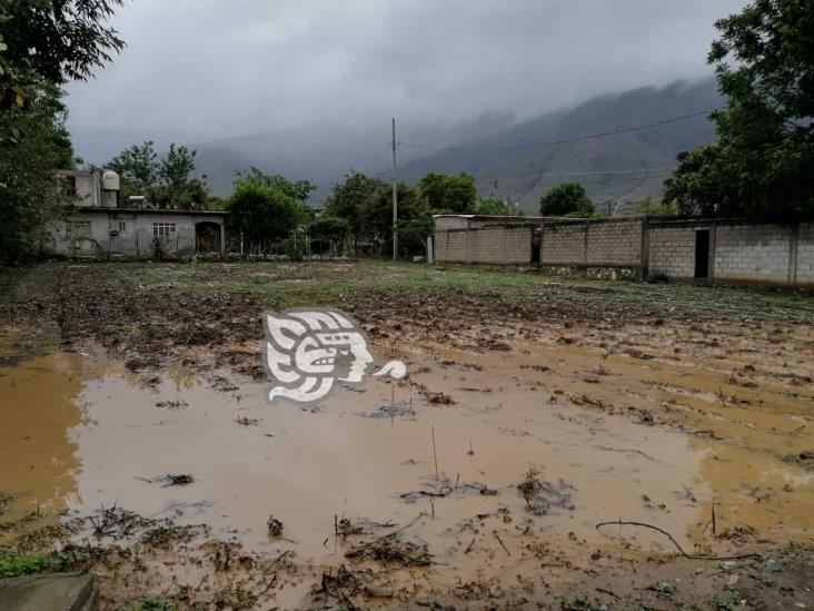 “En septiembre, serán visibles las afectaciones de cultivos por sequía y lluvias”