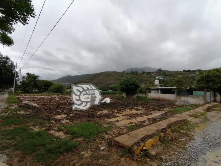 “En septiembre, serán visibles las afectaciones de cultivos por sequía y lluvias”