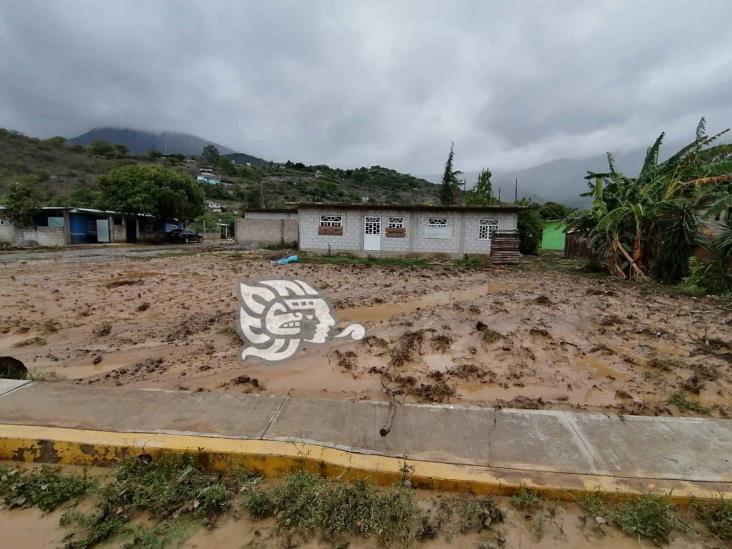 “En septiembre, serán visibles las afectaciones de cultivos por sequía y lluvias”