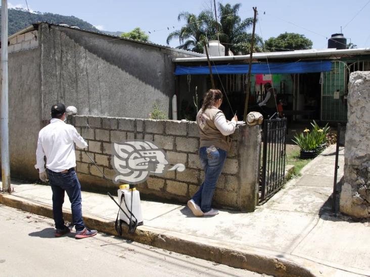 En Río Blanco, realizan fumigación para prevenir plaga de garrapatas