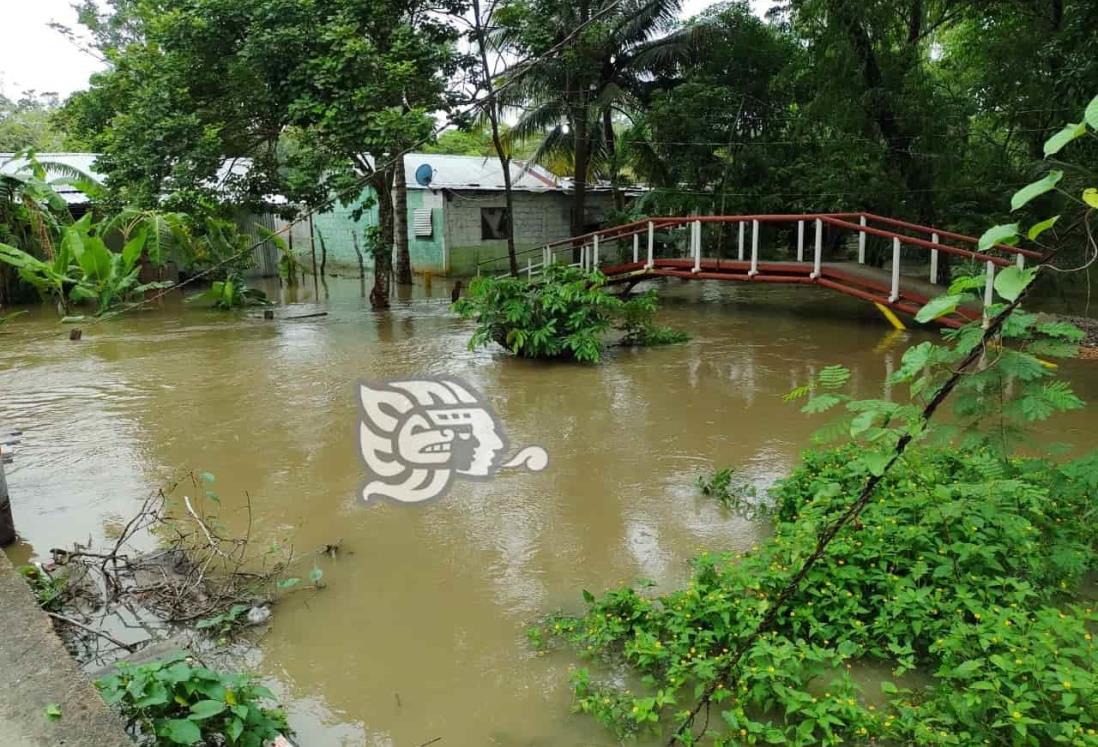 Lluvias de tormenta Bonnie inunda viviendas en Jesús Carranza 