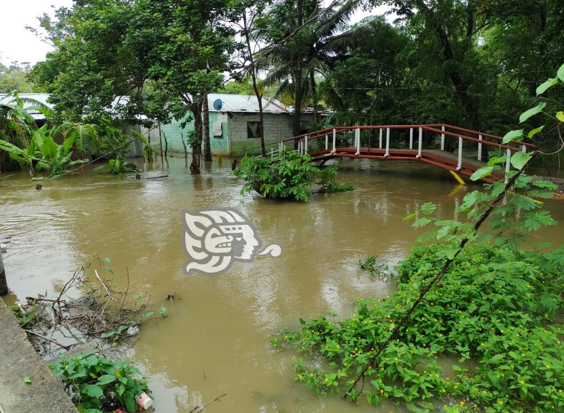 Lluvias de tormenta Bonnie inunda viviendas en Jesús Carranza 