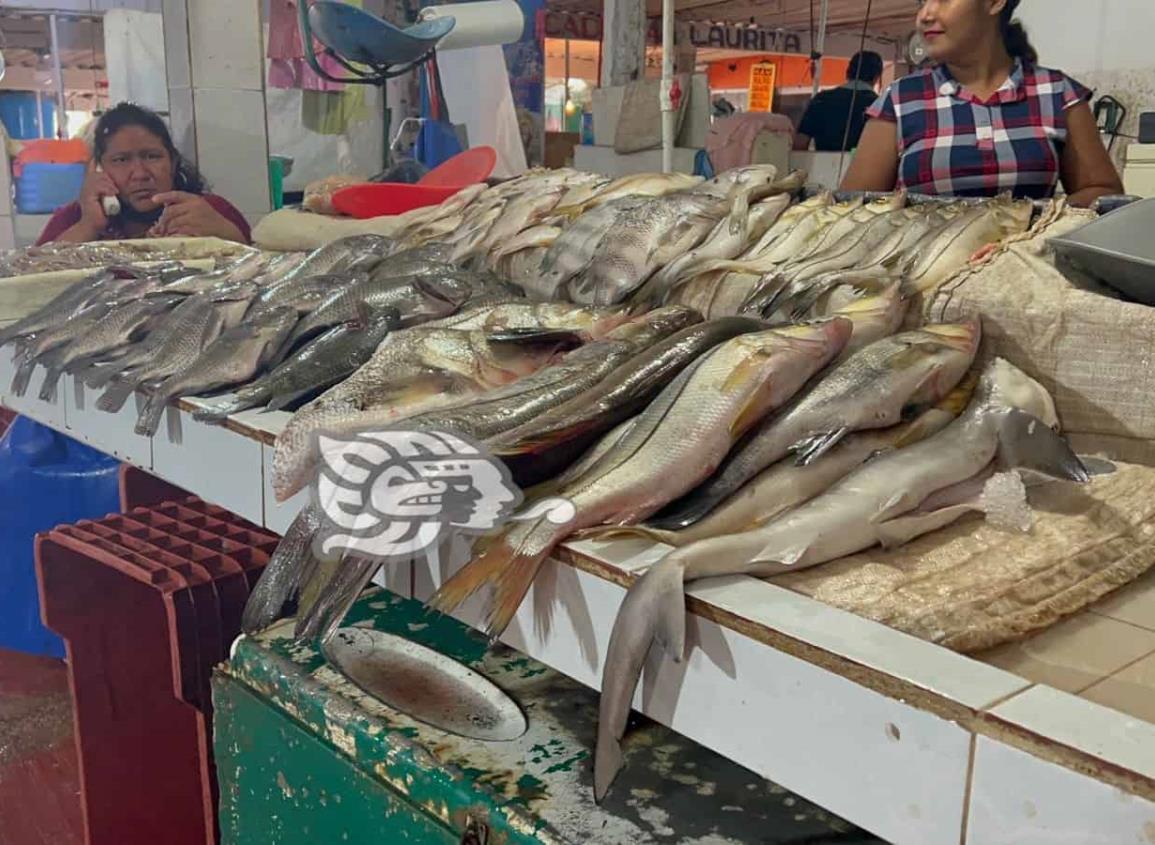 Precio del róbalo no aumentará en Coatzacoalcos pese a la veda