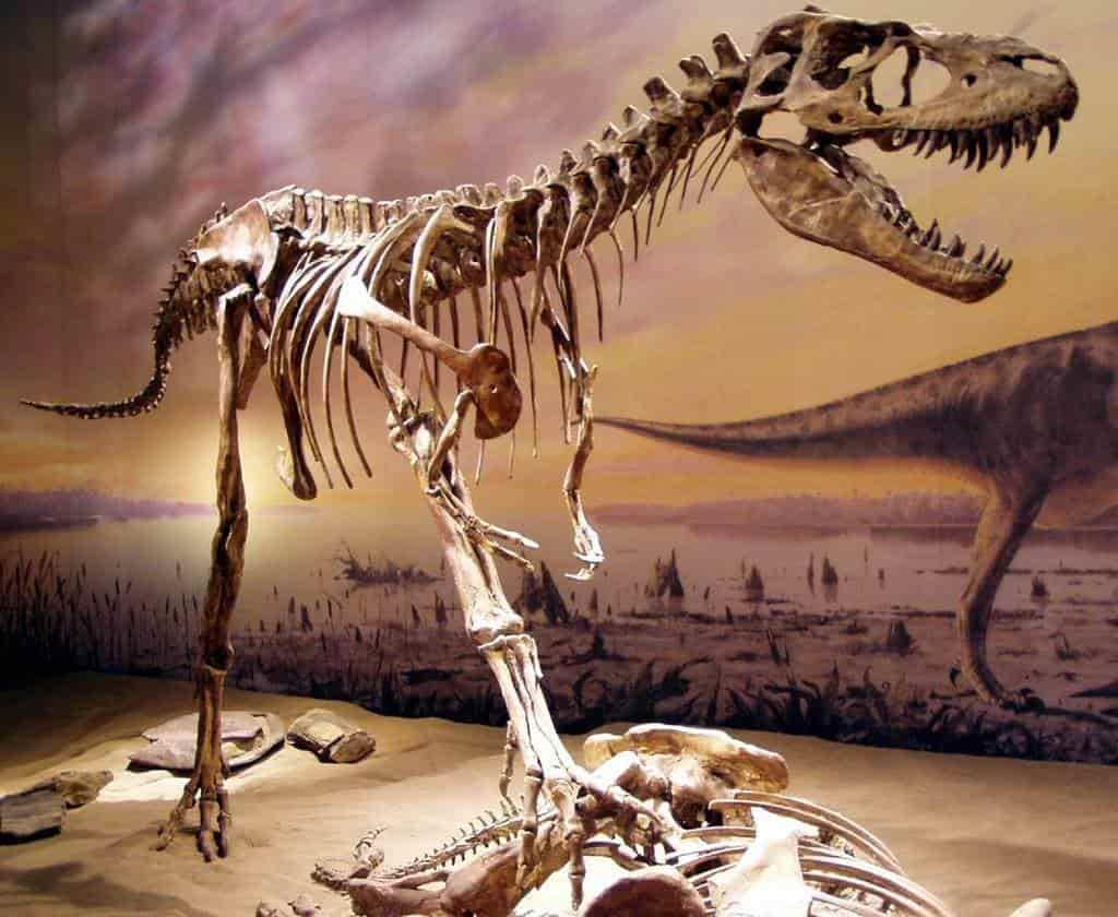 ¿Te animas? Subastarán esqueleto de dinosaurio de más de 77 millones de años