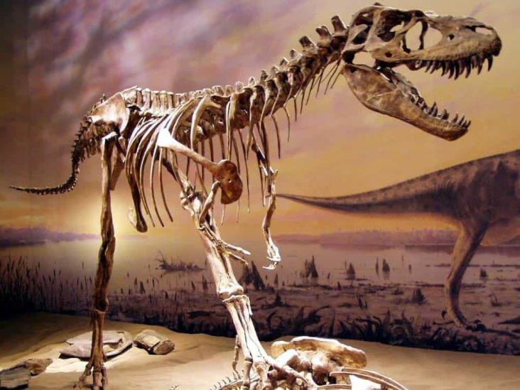 ¿Te animas? Subastarán esqueleto de dinosaurio de más de 77 millones de años