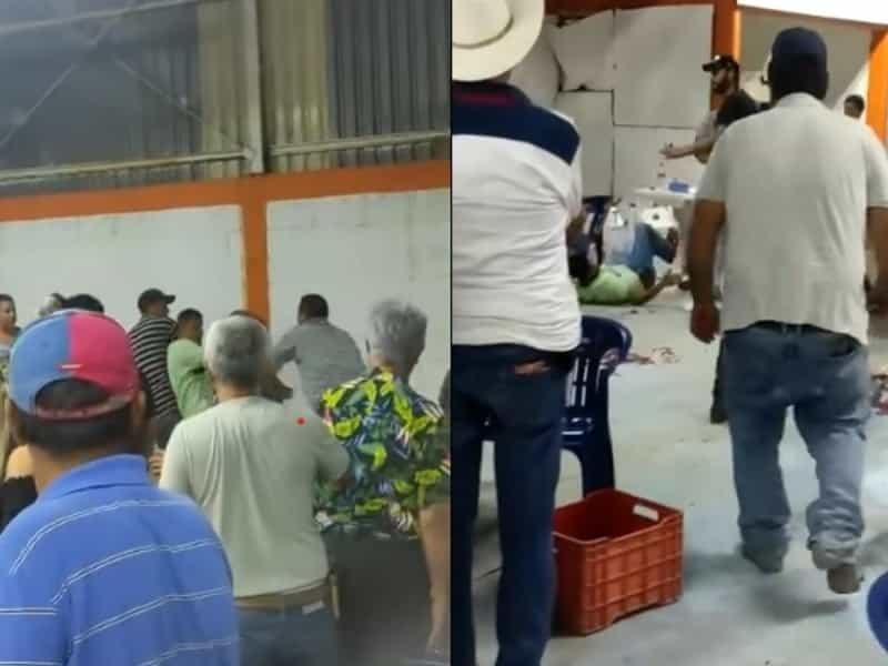 Pelea de gallos clandestina termina en golpes