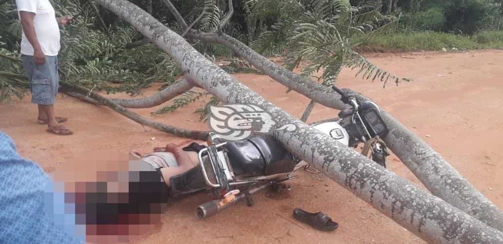 Investigan a policías de Sochiapa por permitir presunto robo de cadáver