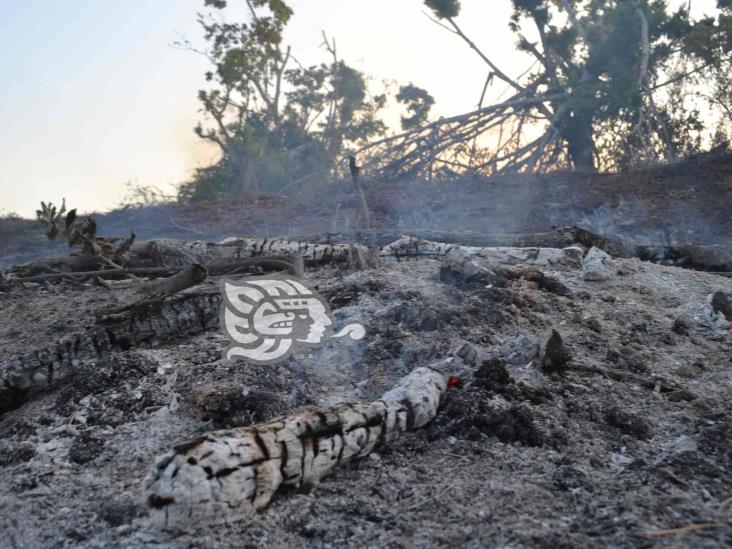 En los primeros 6 meses de 2022, contabiliza Poza Rica cerca de 300 incendios