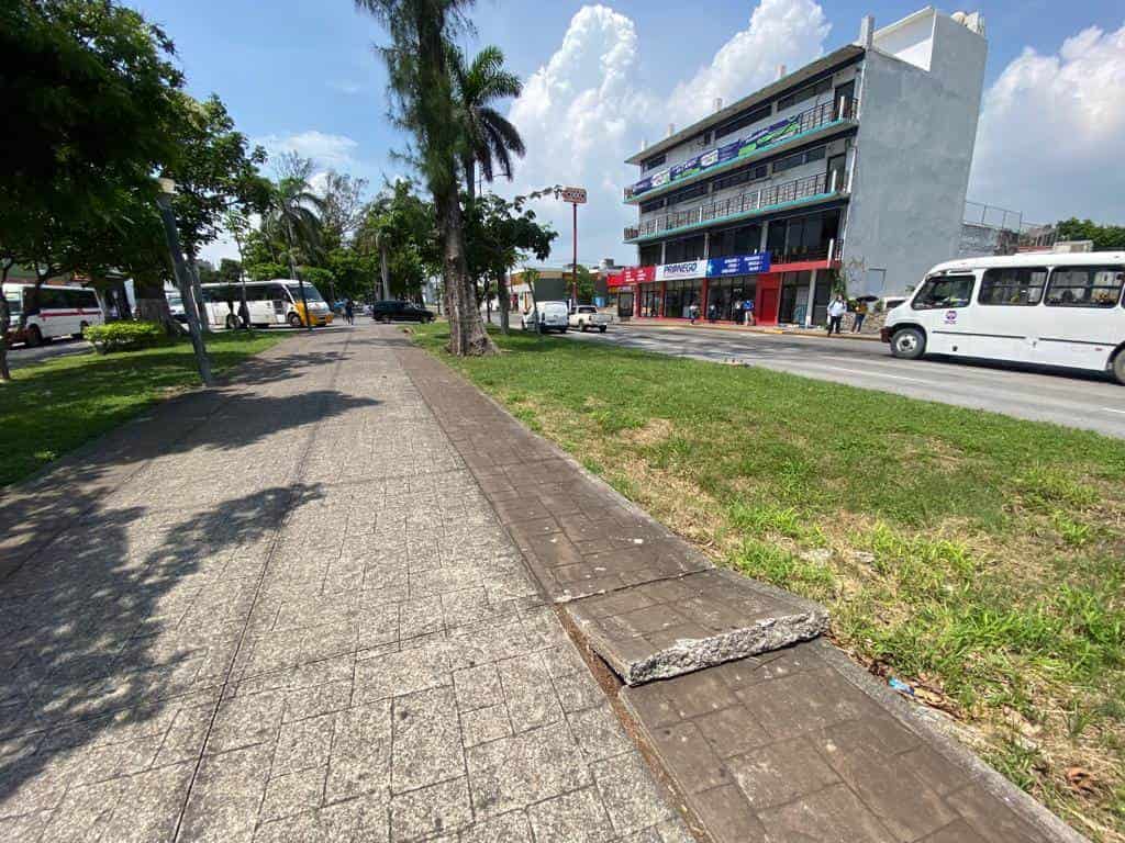 Bancas y luminarias del camellón en la avenida Salvador Díaz Mirón lucen vandalizadas