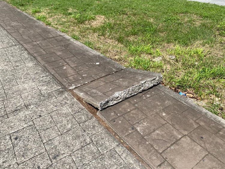 Bancas y luminarias del camellón en la avenida Salvador Díaz Mirón lucen vandalizadas