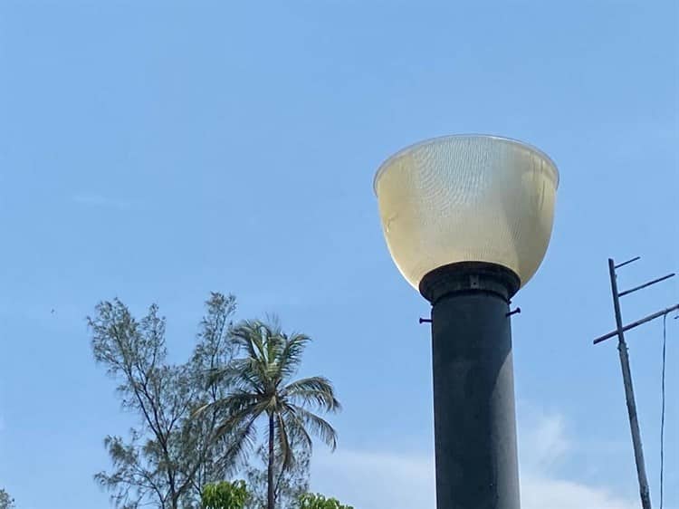 Bancas y luminarias del camellón en la avenida Salvador Díaz Mirón lucen vandalizadas
