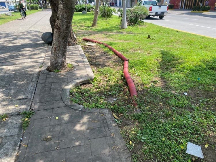 Bancas y luminarias del camellón en la avenida Salvador Díaz Mirón lucen vandalizadas