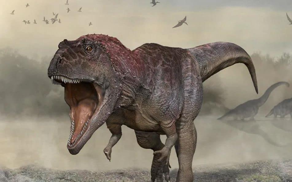 Hallan nueva especie de dinosaurio en Argentina; mide 11 metros y es similar al T-rex