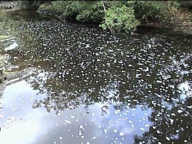 Queseras ‘envenenan’ río y cascada de Naolinco