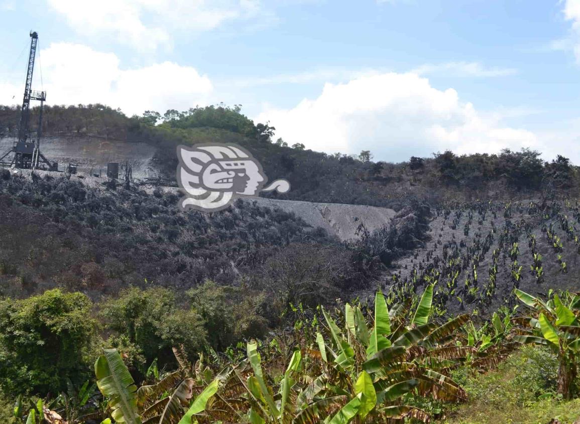 Fuga en pozo de Pemex arrasó con cultivos al norte de Veracruz