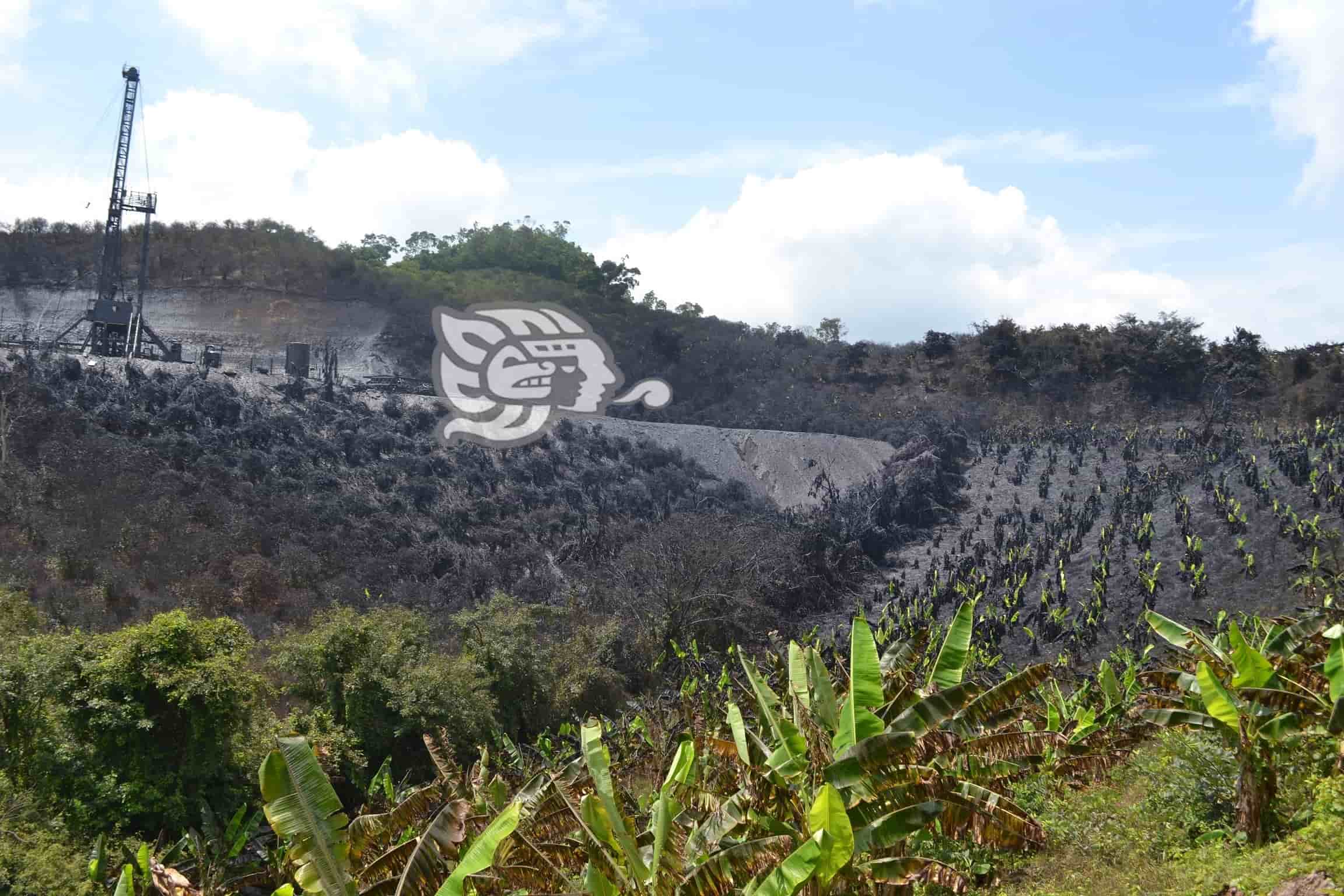 Fuga en pozo de Pemex arrasó con cultivos al norte de Veracruz